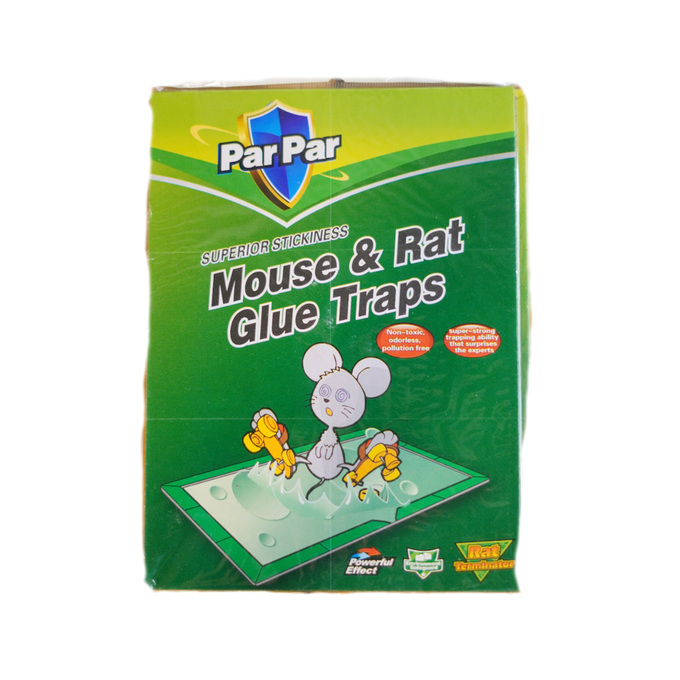 لاصق فئران بار بار دفتر