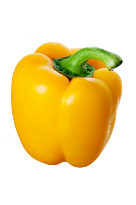 فليفلة صفرا